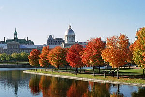 Rencontre Canada Québec Montréal Montréal